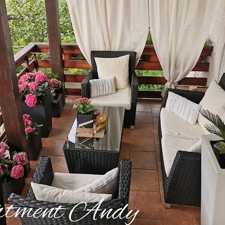 Andy * メドヴォデ