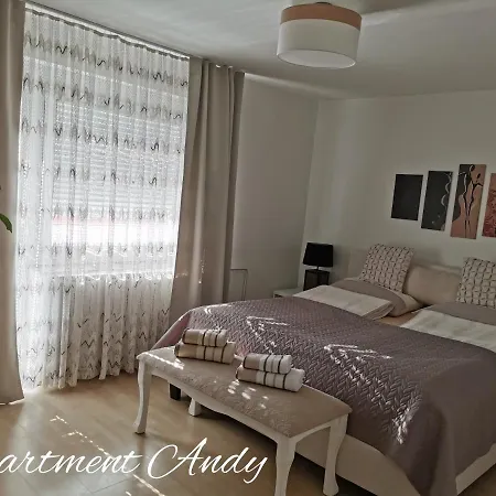 Andy * メドヴォデ