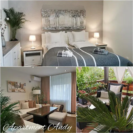 Andy メドヴォデ