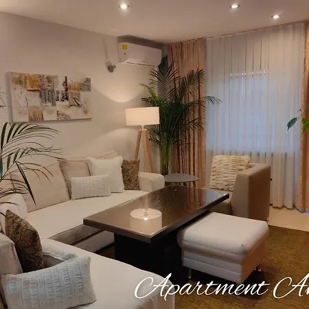 Andy * メドヴォデ