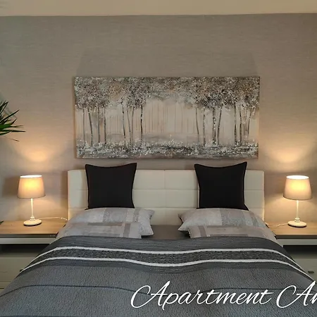 Andy メドヴォデ