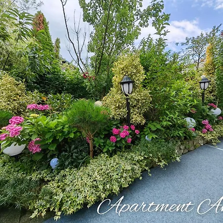 Andy メドヴォデ