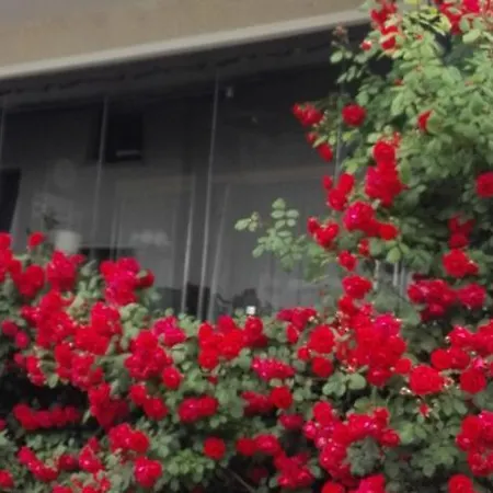 アパート Andy メドヴォデ