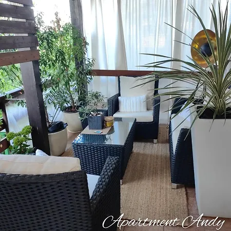 Andy メドヴォデ