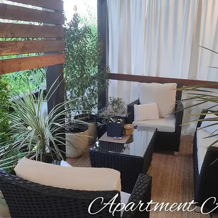 Andy メドヴォデ