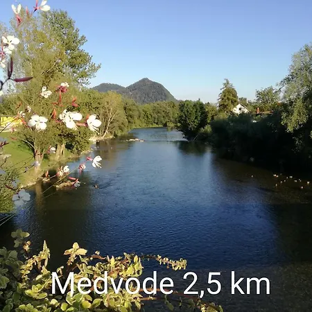 Andy アパート メドヴォデ