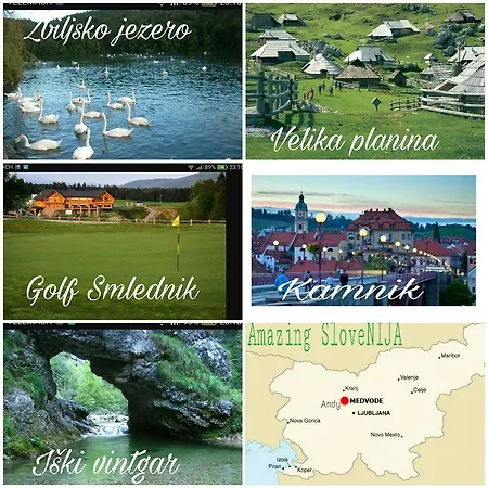 Andy * メドヴォデ