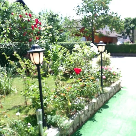 Andy アパート メドヴォデ