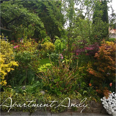 Appartement Andy *