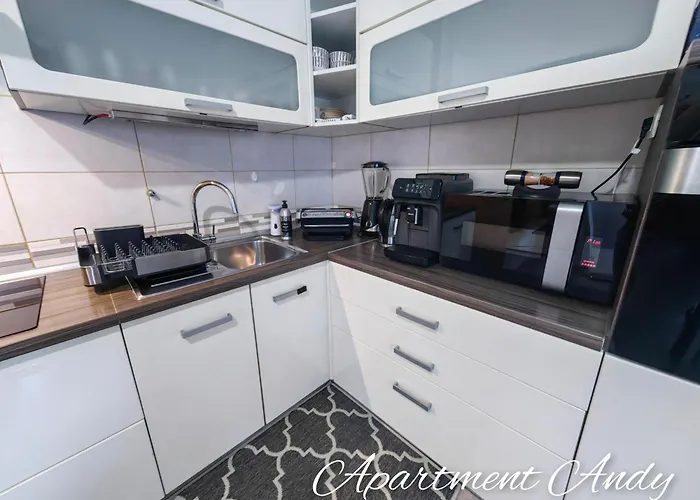 Andy Appartamento Medvode