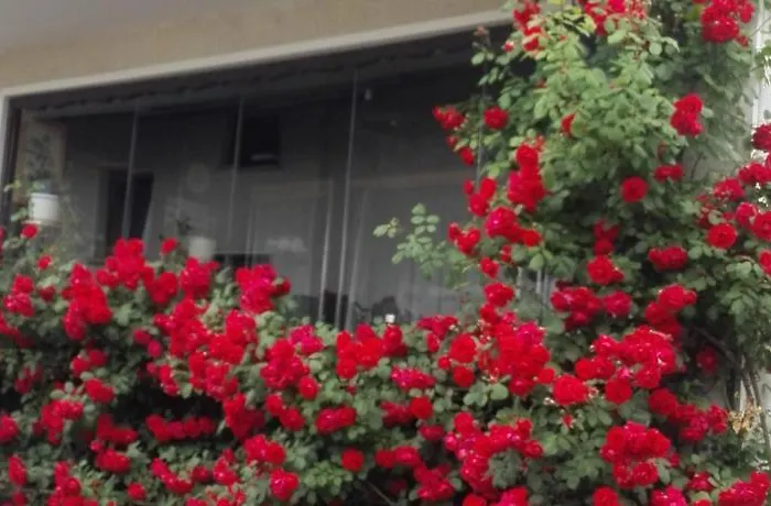 Appartamento Andy Medvode